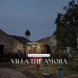 Villa The Amora